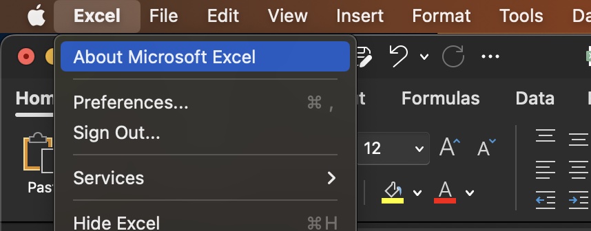 About Microsoft Excel on Mac